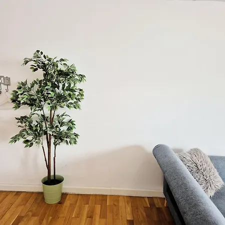 Apartment Dd Bukarest